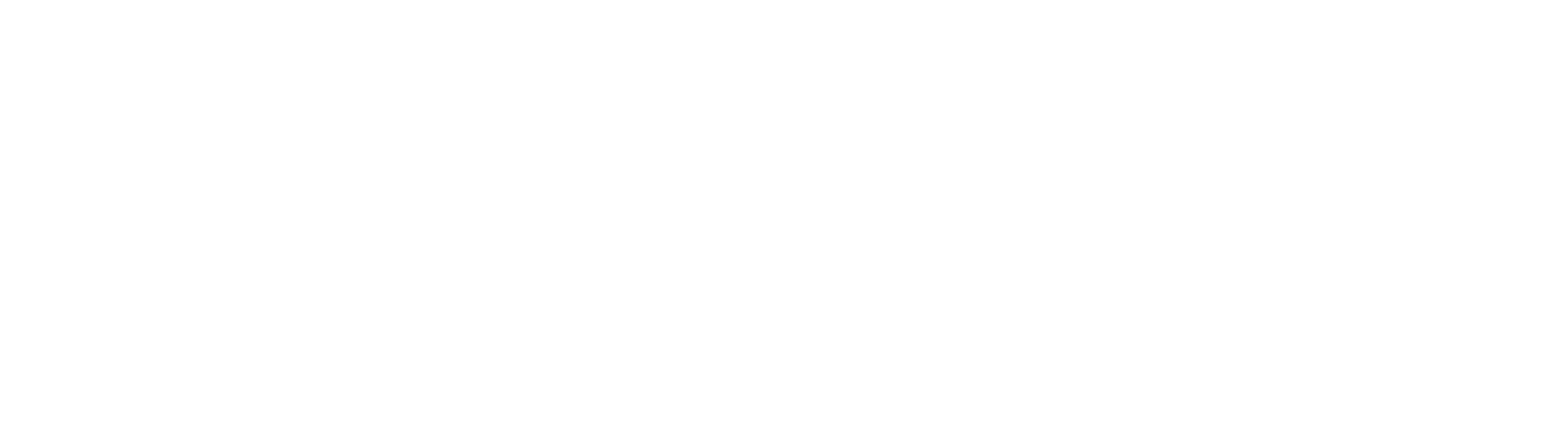 Fortinet logo
